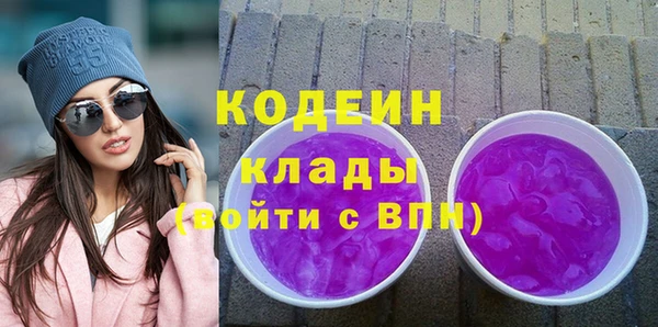 ПСИЛОЦИБИНОВЫЕ ГРИБЫ Арсеньев