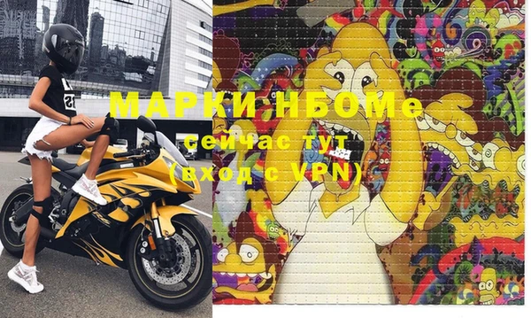 гашик Аркадак